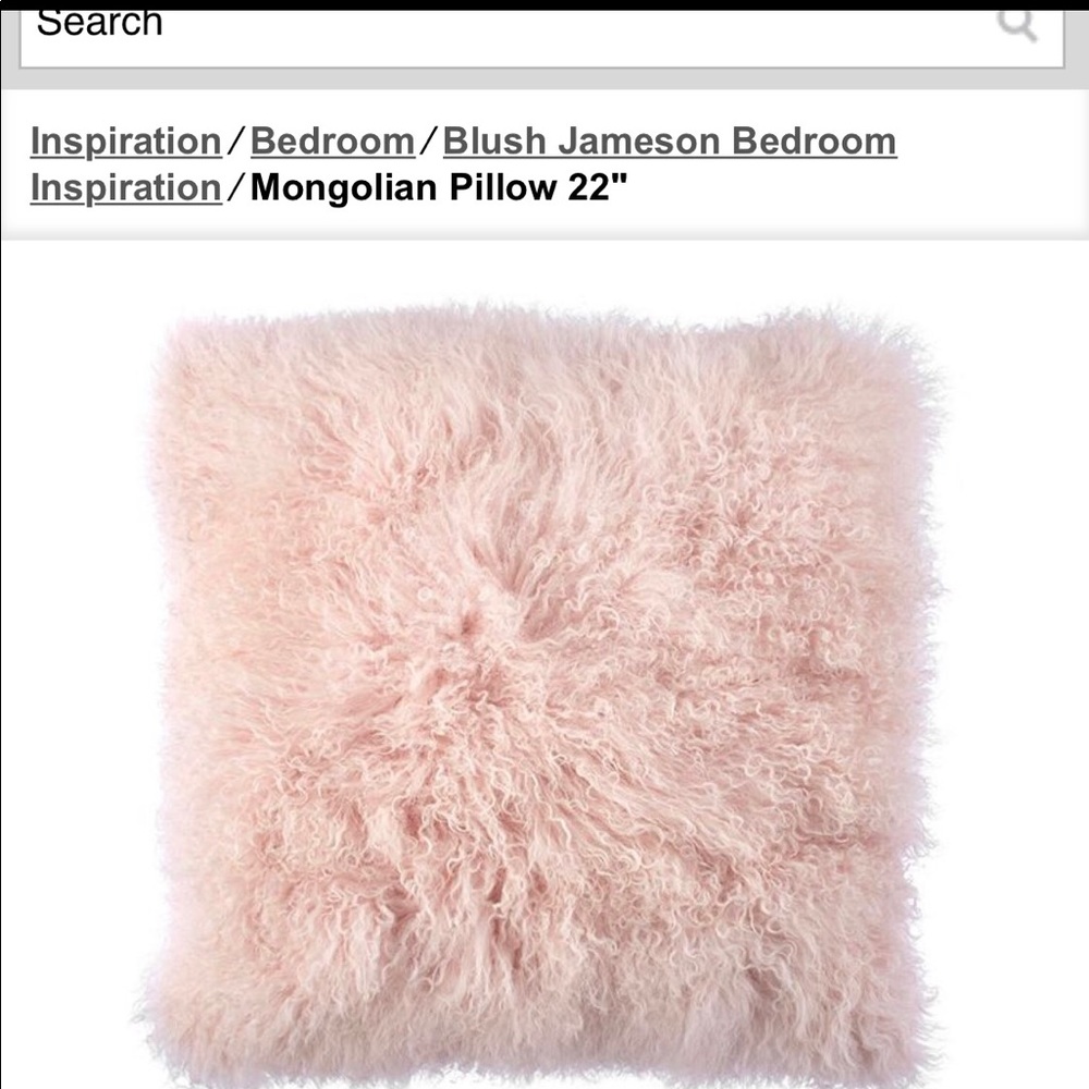 2 Z gallerie Mongolian 22 inch pillows